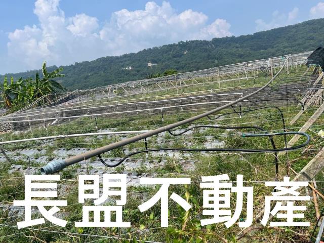 苗栗卓蘭農地-6