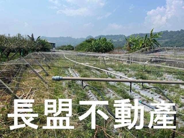 苗栗卓蘭農地-7