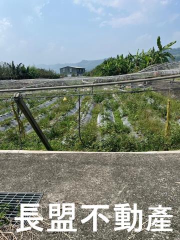 苗栗卓蘭農地-9