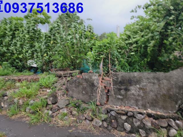 宜蘭壯圍農地-14