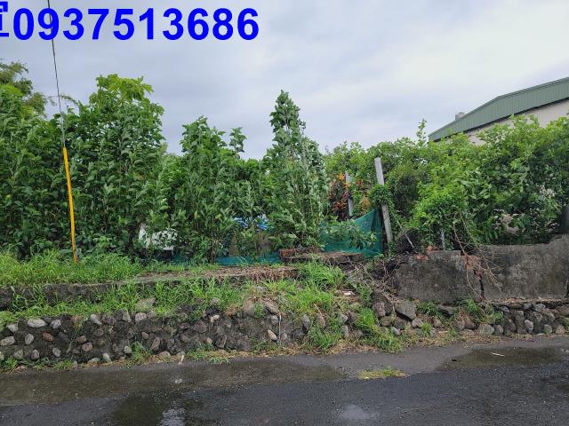 宜蘭壯圍農地-4