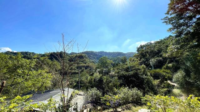 新竹關西山坡地-15