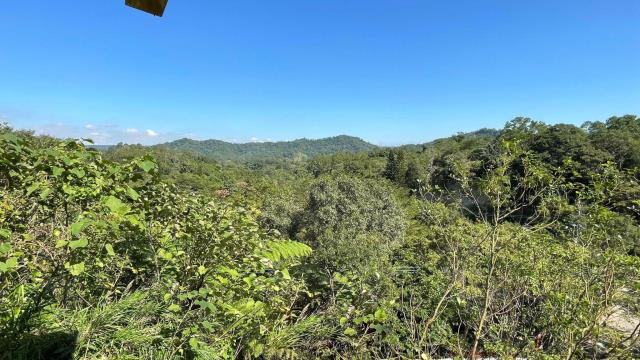 新竹關西山坡地-7