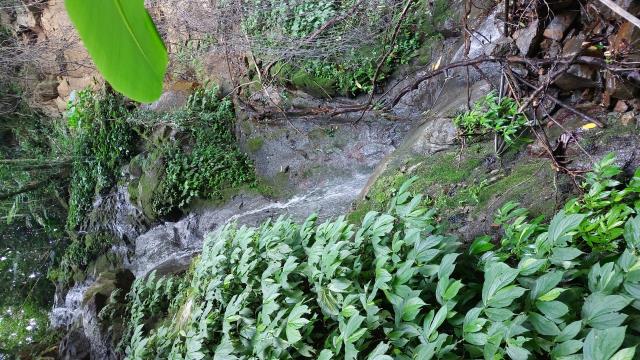 竹東休閒地-11