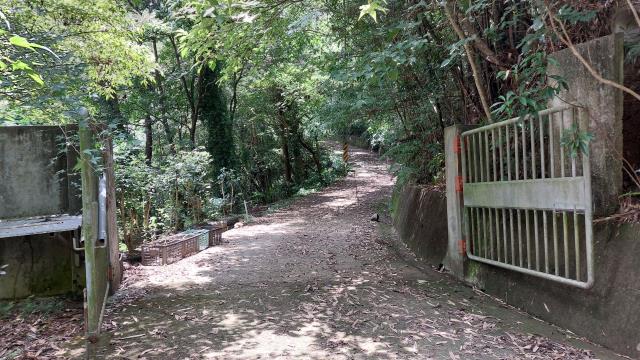 竹東休閒地-2