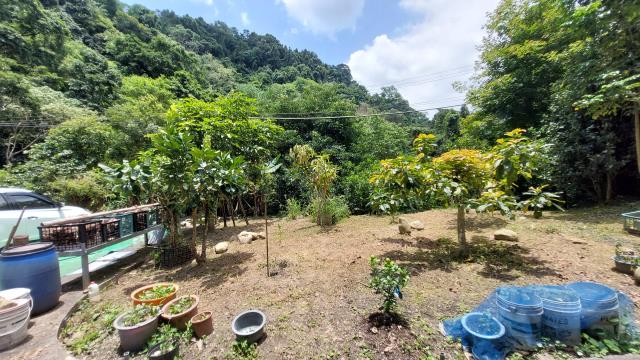 竹東休閒地-9