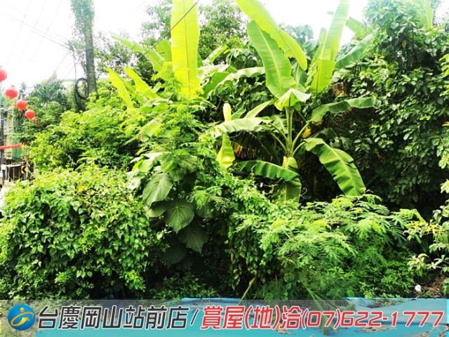田寮農地-10