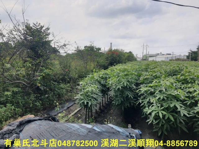 彰化北斗農地-3
