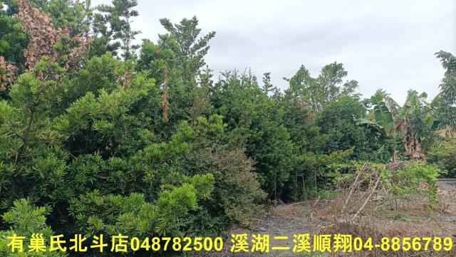 田尾農地-10