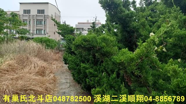 田尾農地-12