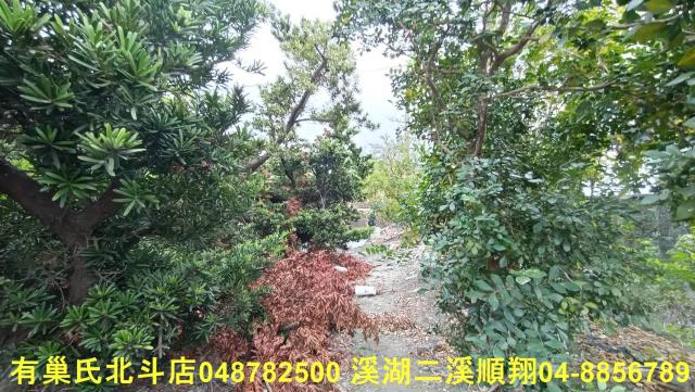 田尾農地-4