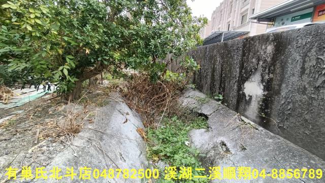 田尾農地-5