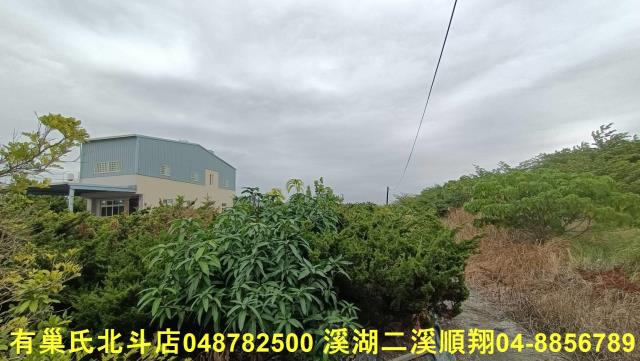 田尾農地-8