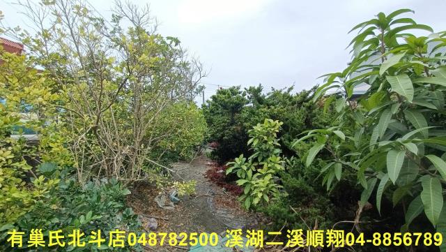 田尾農地-9