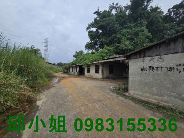 民雄農地-4