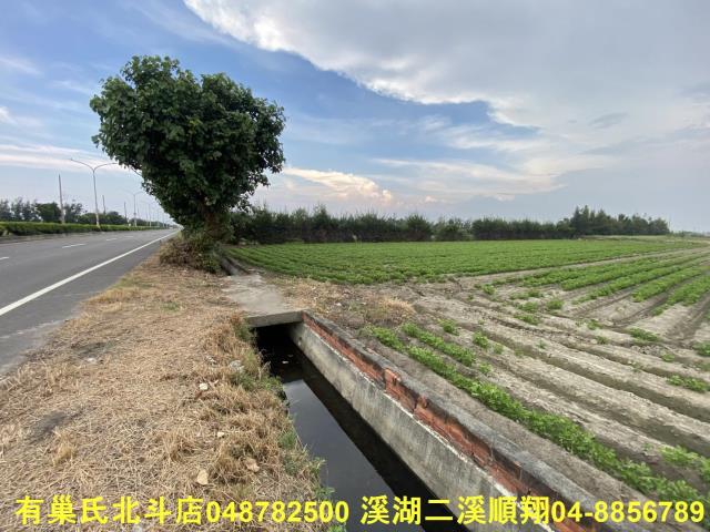 大城農地-4