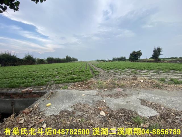 大城農地-6