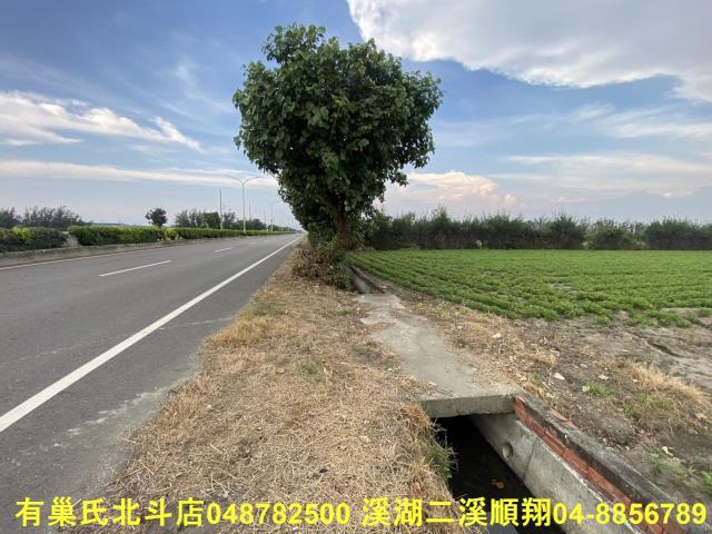 大城農地-7