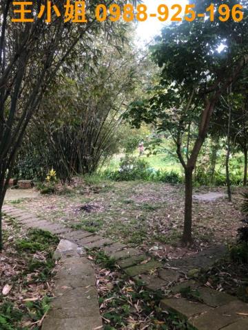桃園大溪建地-5