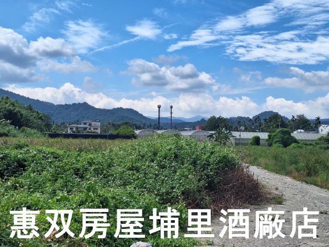 南投埔里農地-5