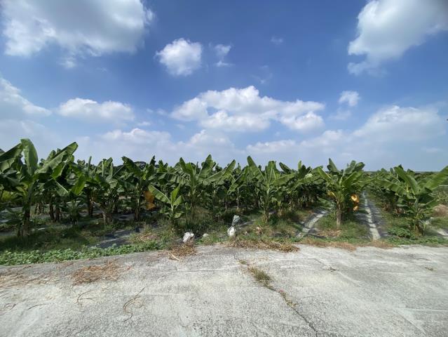 林內農地-2
