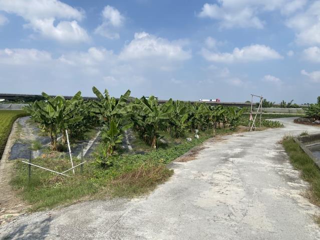 林內農地-5