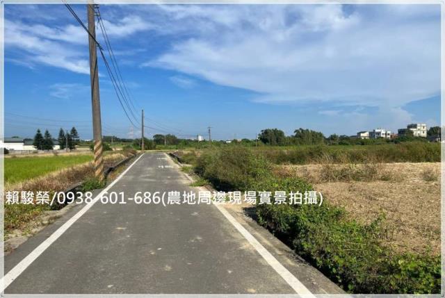 桃園新屋埔頂國小農地