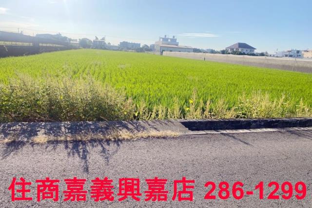 彰化大村農地-5