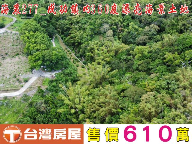 台東成功農地-1