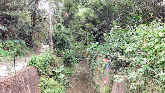 新竹峨眉農地-8