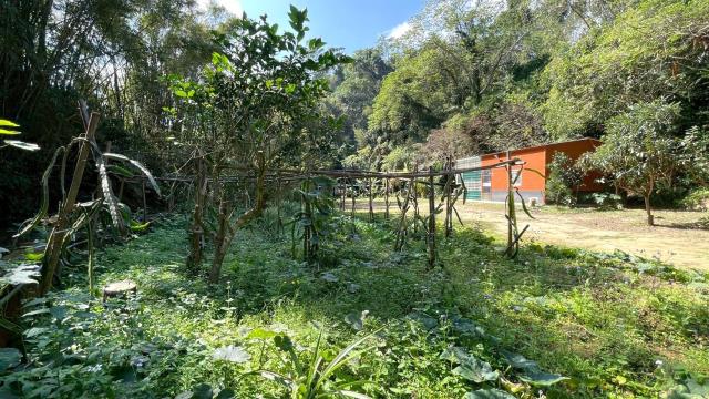 新竹峨眉農地-9