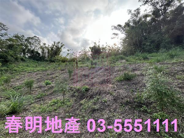 新竹峨眉農地-7