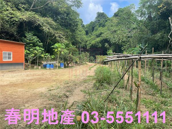 新竹峨眉農地-5