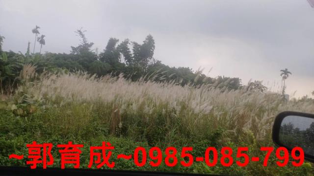嘉義農地-7