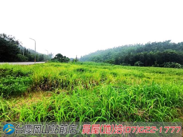 高雄內門農地-6