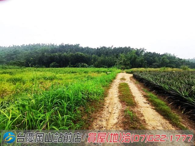 高雄內門農地-7