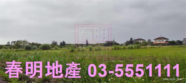 新豐農地-5