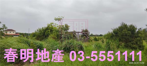新豐農地-9