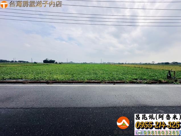 朴子農地-4