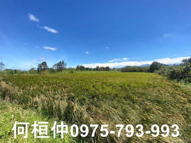 苗栗後龍農地-1