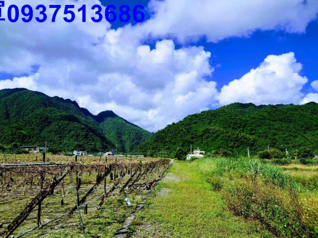 員山農地-15