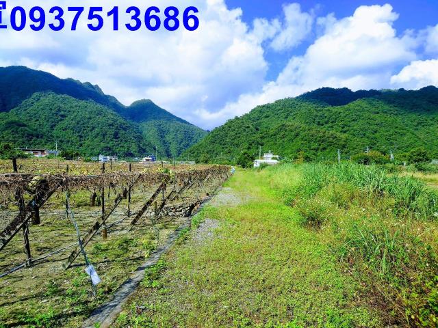 員山農地-1