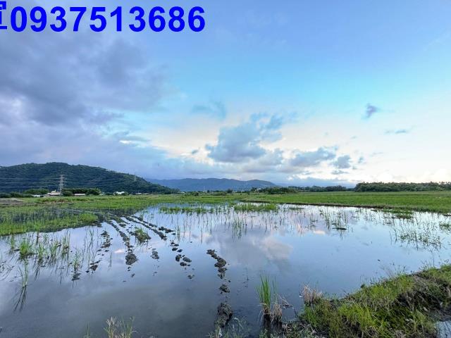 員山農地-4
