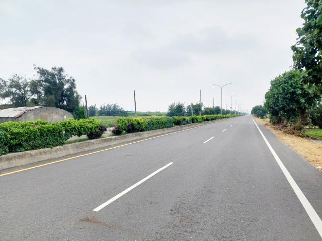 大城農地-10
