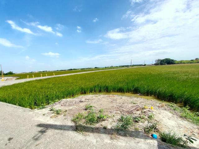 彰化二林農地-3