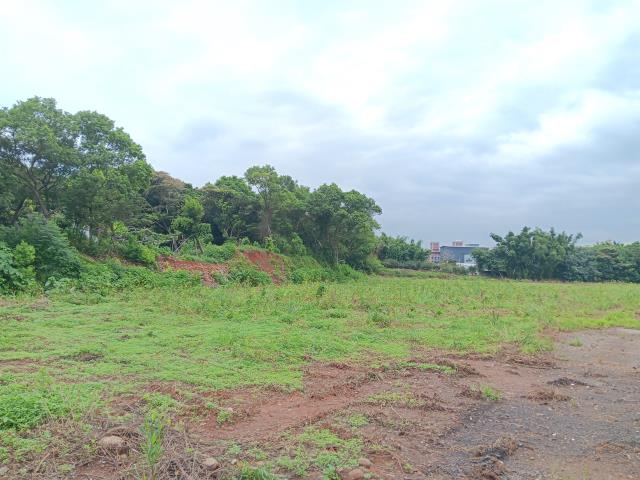 鶯歌工業地-3