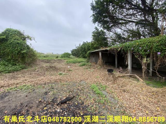 芳苑農地-9