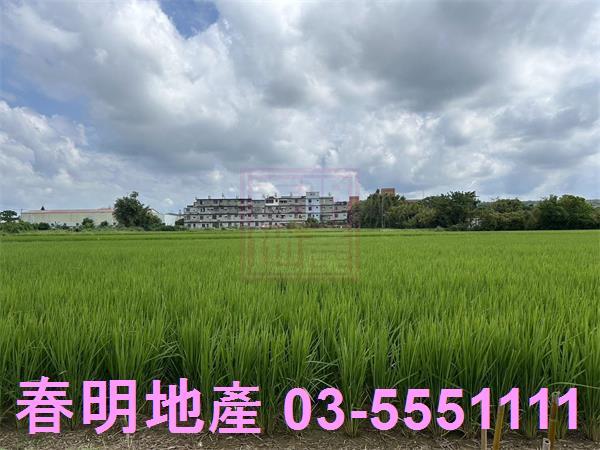 新竹農地-6