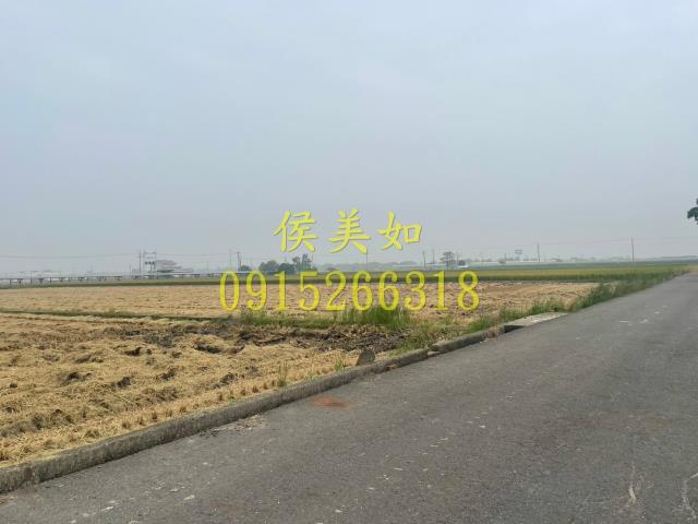 大林農地-7