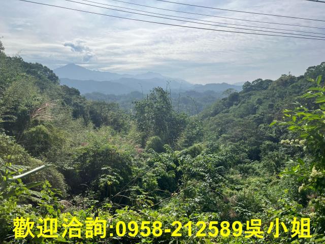 北埔山坡地-2